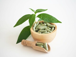 Andrographis paniculata capsule in wood bowl (herbal capsules) and wood scoop on white background....