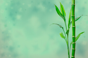Fototapeta na wymiar Green bamboo stem and leaves on pastel background. Banner with copy space