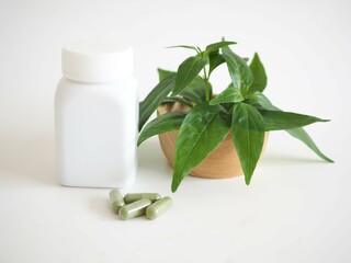 Medicine bottle, kariyat, andrographis paniculata leaves and capsule on white background. closeup photo, blurred.