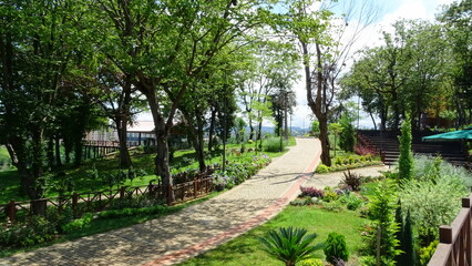 botanical garden and pathway