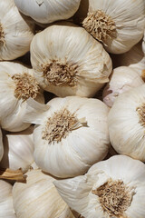 Close Up Of Fresh Garlic Cloves