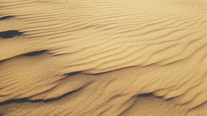 sand ripples on the beach
