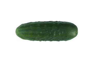 Ripe green cucumber.