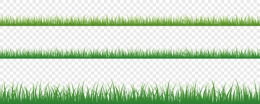 green grass meadow border vector pattern isoladet