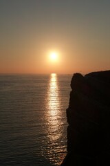 Sunset by the sea with northern gannets on a cliff and in the air