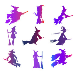 Witch with broom colorful vector icon set