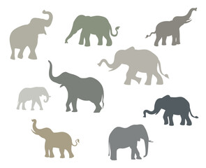 Colorful elephants in different pose. Vector illustration