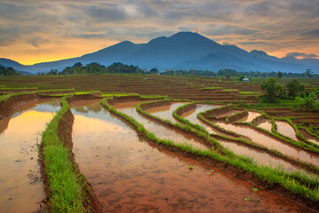 reflection of the beauty of the natural panorama of rice terraces with mountains and sunrise in the morning in Indonesia