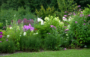 colorful perennial beds with flowering shrubs. it is a mixture for bees. the park arrangement of a wild colorful look is romantic