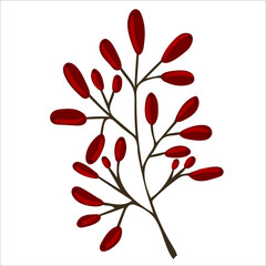 Winter branch with berries. Christmas floral illustration for invitations, greeting card, textile, fabric, posters.
