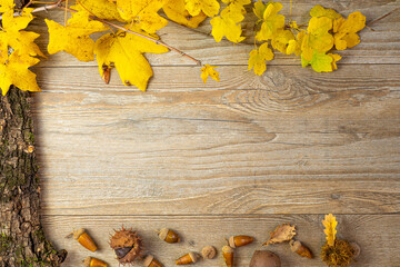 Blank winter frame. Acorns, chestnuts, tree bark and yellow leaves frame an empty space. Wooden background.Autumn concept