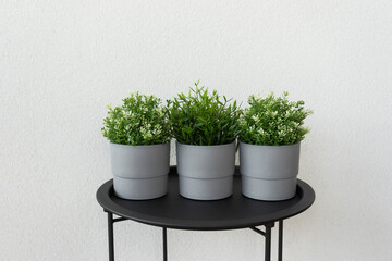 A green artificial potted plant standing on a black table