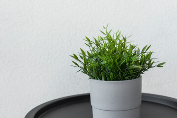 A green artificial potted plant stands on a black table