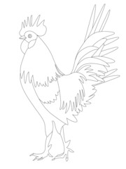 A coloring page with a picture of a rooster.