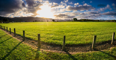 Fototapeta na wymiar Wooden fence on a green meadow during sunset in New Zealand