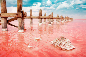 The pink lake is a beautiful landscape, unusual nature. A unique rare natural phenomenon. Salt lake...