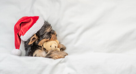 Funny Yorkshire terrier puppy wearing red santa hat sleeps and hugs toy bear under white blanket at...