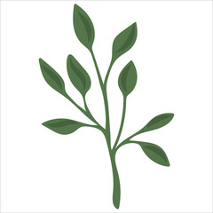 Hand drawn branch with leaves isolated on white background. Decorative floral element for your design. Vector illustration