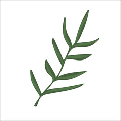 Hand drawn branch with leaves isolated on white background. Decorative floral element for your design. Vector illustration