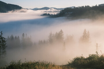 Obraz na płótnie Canvas Misty landscape. Morning fog sunrise high in the Carpathian mountains in Ukraine.