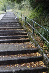 Stairs in the forest