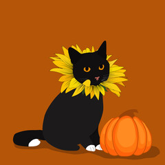 Cute black cat in sunflower costume with pumpkin. Greeting card with coppy-space. Vector illustration.