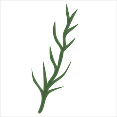 Fototapeta premium Hand drawn branch with leaves isolated on white background. Decorative floral element for your design. Vector illustration