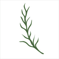 Fototapeta premium Hand drawn branch with leaves isolated on white background. Decorative floral element for your design. Vector illustration