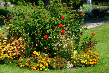 Beautiful red and orange flowers at park at City of Nyon. Photo taken August 28th, 2021, Nyon, Switzerland.