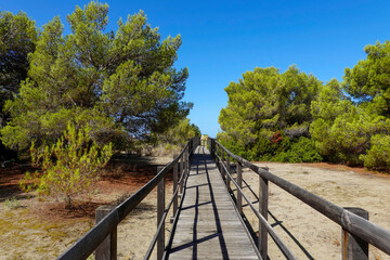 mare e natura selvatica