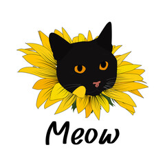 Draw cat sunflower. Meow phrase. Vector illustration for print on t-shirt and other uses