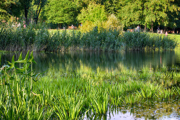 Beautiful lake in the city park in the autumn season