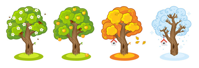 Tree four seasons. Different seasons spring, summer, autumn, winter. Vector illustration. Isolated on a white background.  - 456179051