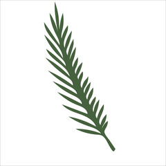 Hand-drawn fir or pine tree branch isolated on white background. Winter plants for Christmas decoration. Vector isolated holiday design elements.