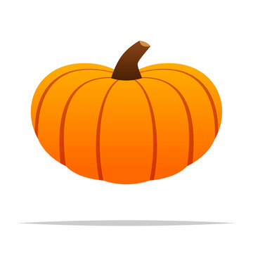Pumpkin vector isolated illustration