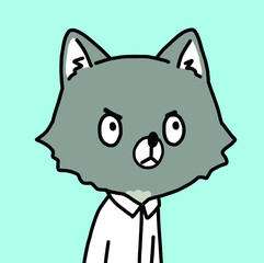 Mr.wolf