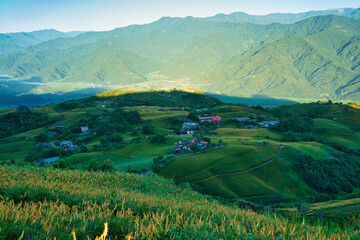 Obraz premium Early morning view of the daylily fields and the valley village.