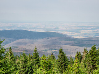 Landscape on mountain Brocken in Harz in Germany.