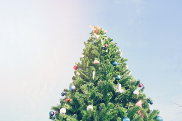 From below of Christmas tree under blue sky