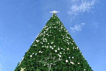 From below of Christmas tree under blue sky