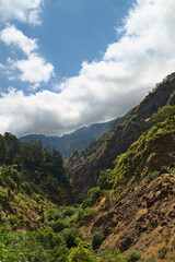 Fototapeta premium landscape with clouds
