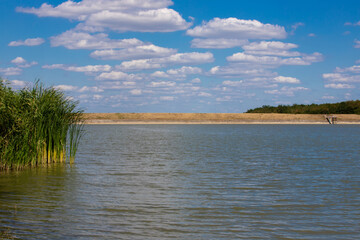 High angle shot of a lake and scirpus with cloudy sky on a windy day © Sebastian Albin Fulvius/Wirestock