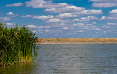 High angle shot of a lake and scirpus with cloudy sky on a windy day © Sebastian Albin Fulvius/Wirestock