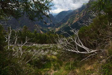 landscape in the mountains