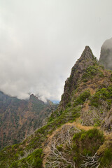 view from the top