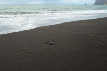 stone on the sand