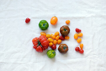 Colorful tomatoes top view 