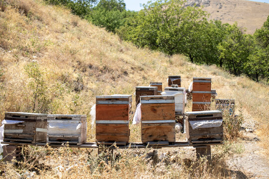 old rusty truck - Powered by Adobe