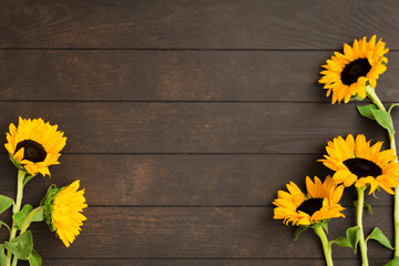 Beautiful yellow sunflowers on wooden background with copy space