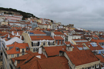 Obraz premium roofs of town